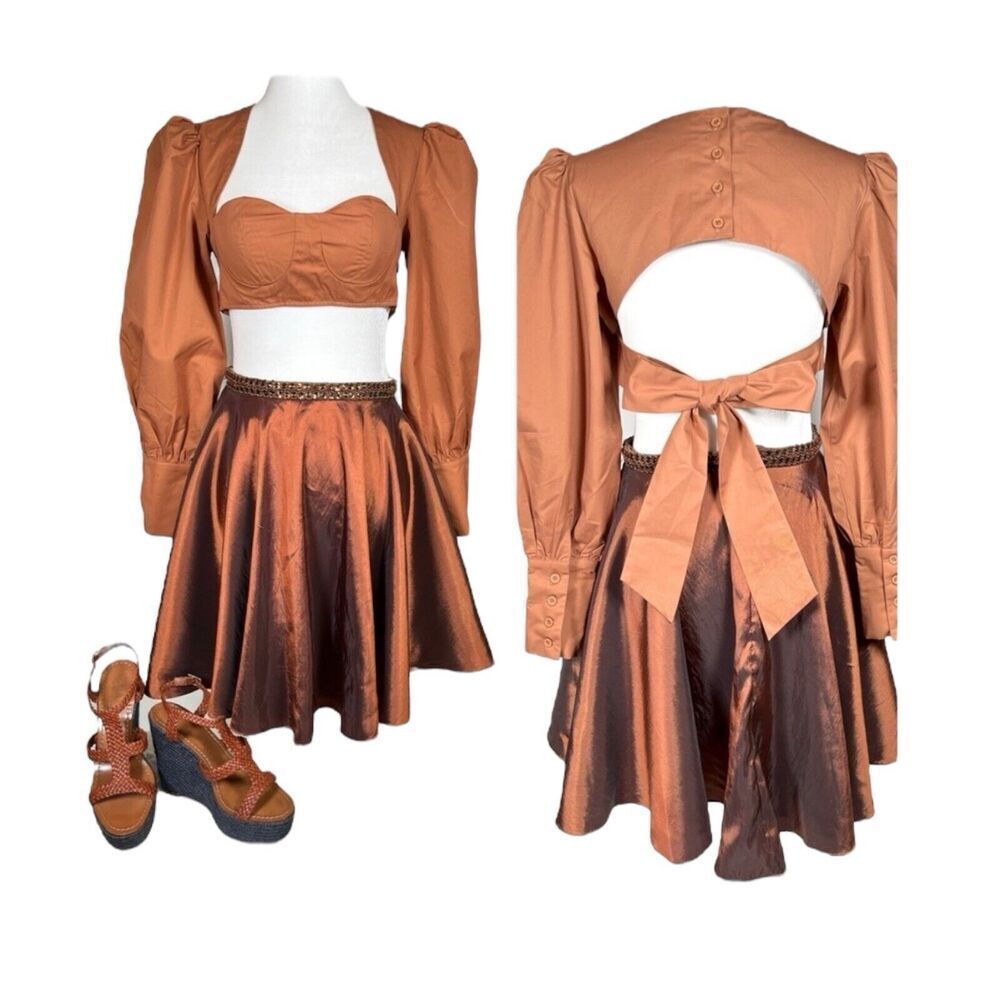 Hanifa Kayla Bustier Long Sleeve Crop Top Princess Poof Sleeves Brown NWT 2XS